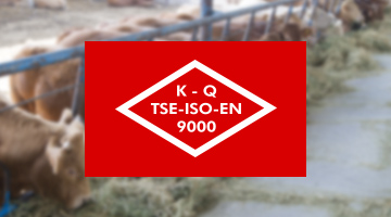 TSE-ISO-EN-9000
